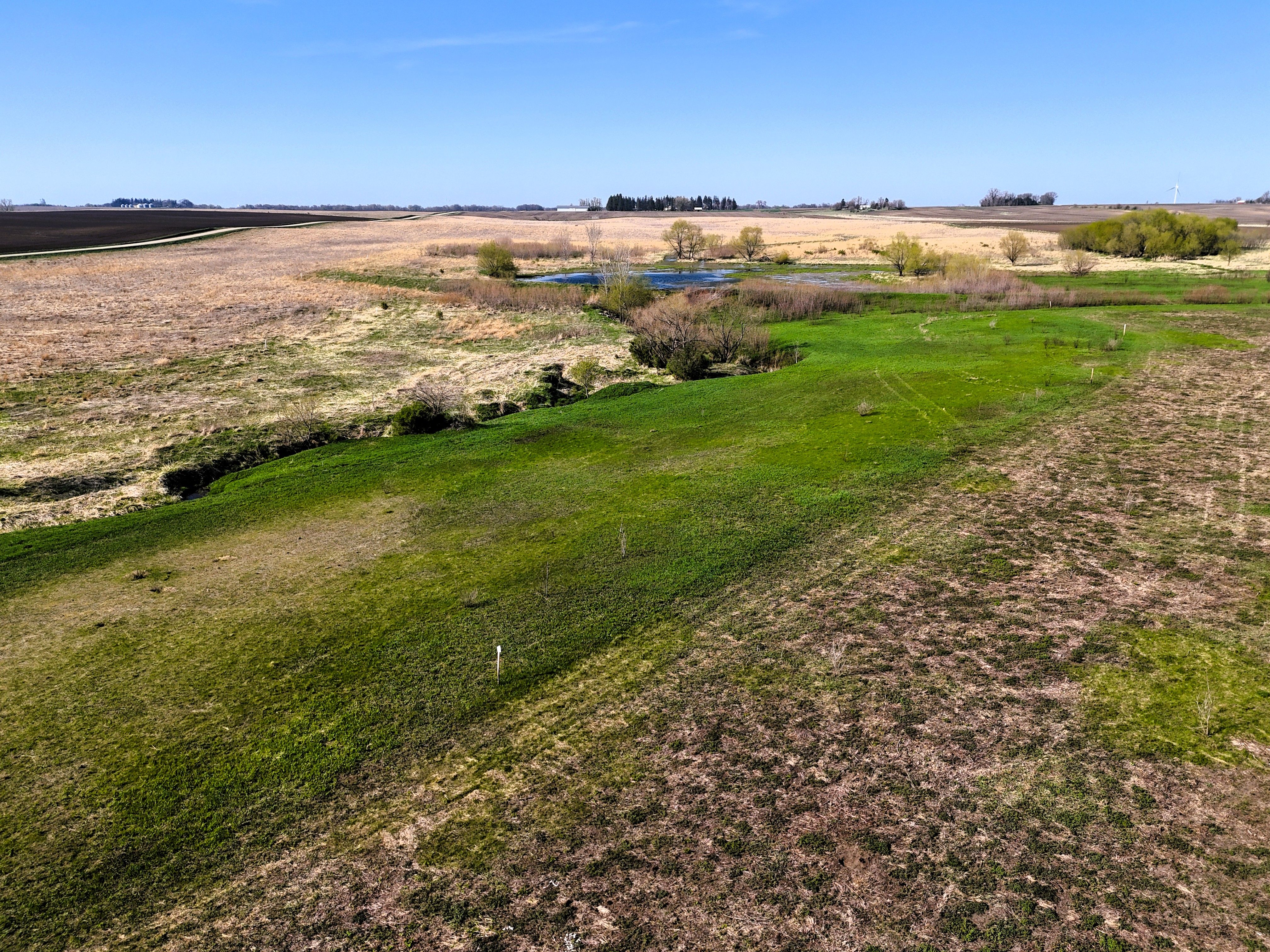 Listing Photo: Ground 9